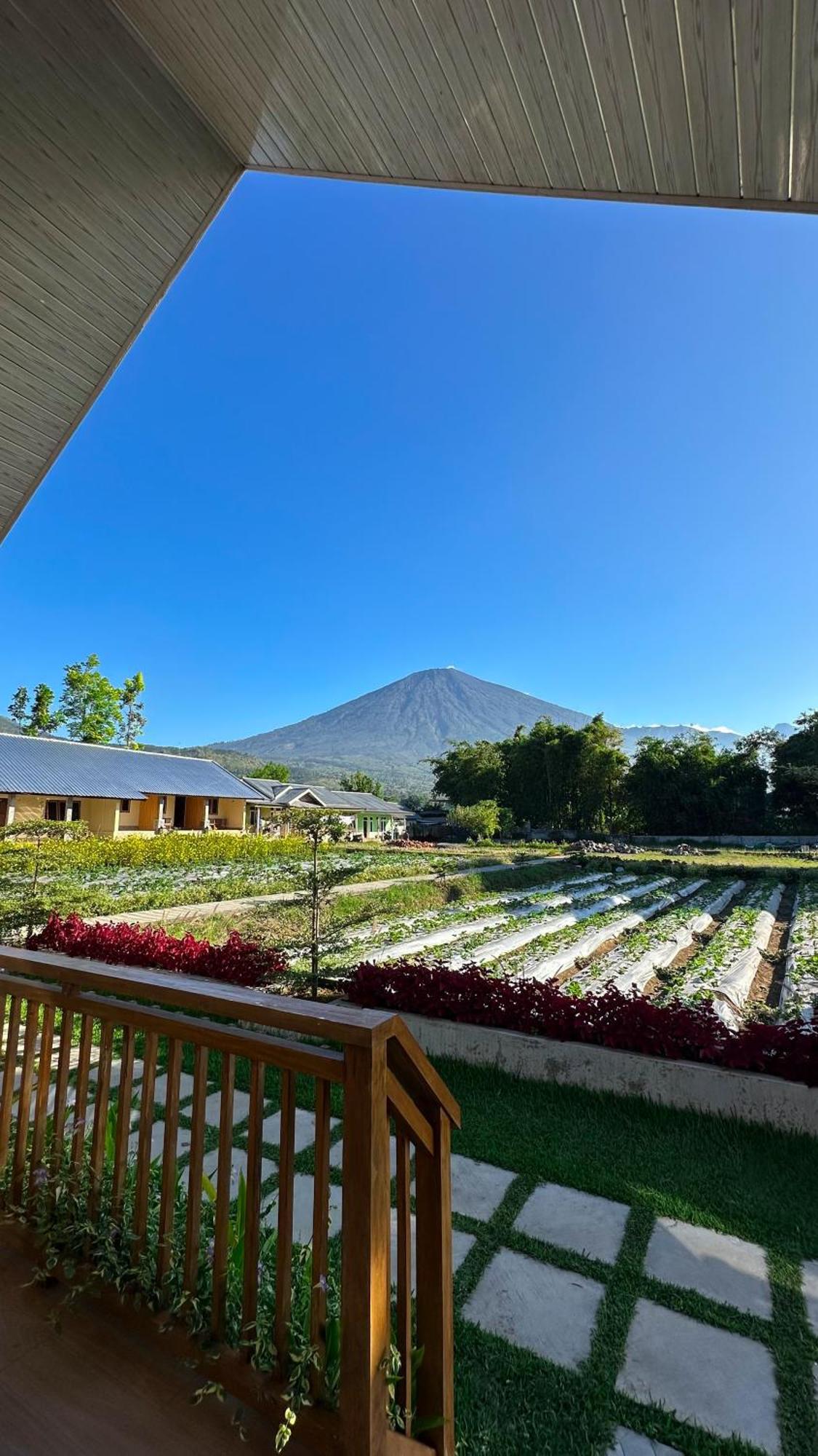 Appartamento Rautani Sembalun Sembalunlawang Esterno foto